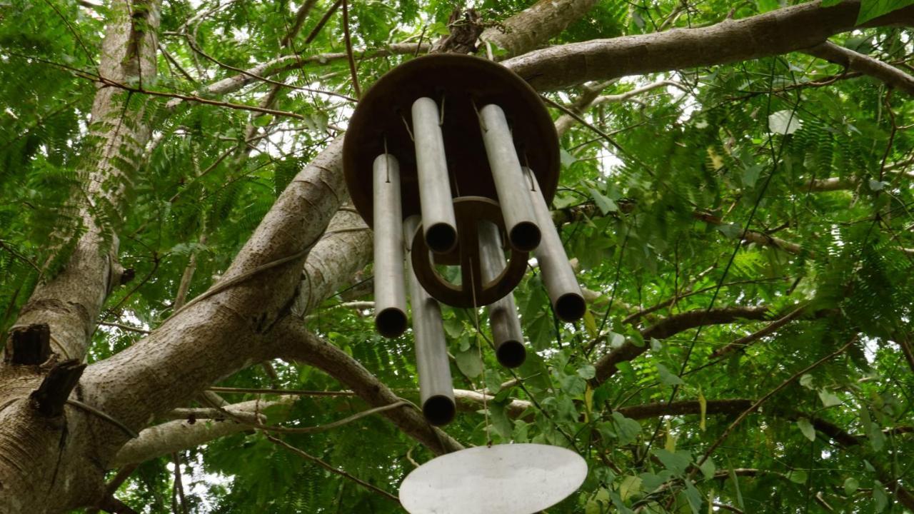 Green'S Guest House أورفيلا المظهر الخارجي الصورة
