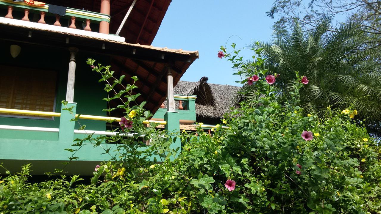 Green'S Guest House أورفيلا المظهر الخارجي الصورة